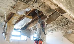 Mold Remediation for Rental Properties in Oxford, NC